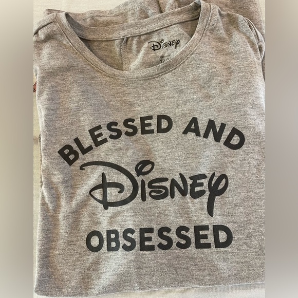 Blessed And Disney Obsessed Long Sleeved Grey Top Size 22/24 - Picture 1 of 7